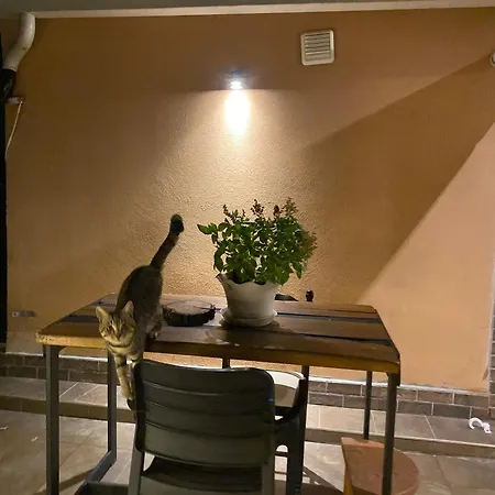 Apartamento Oasis Tirana