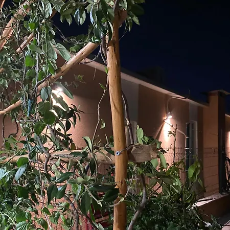 Oasis Apartamento